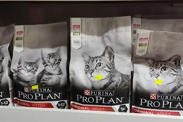 Pınar Pet Shop - Resim 2