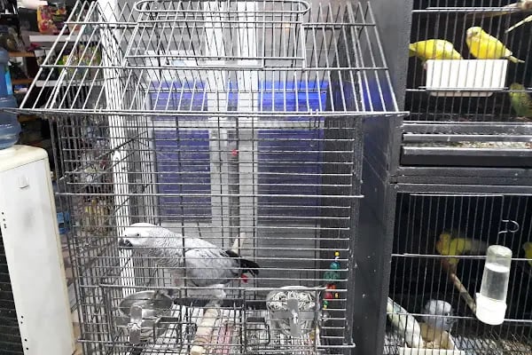 Pınar Pet Shop - Resim 18