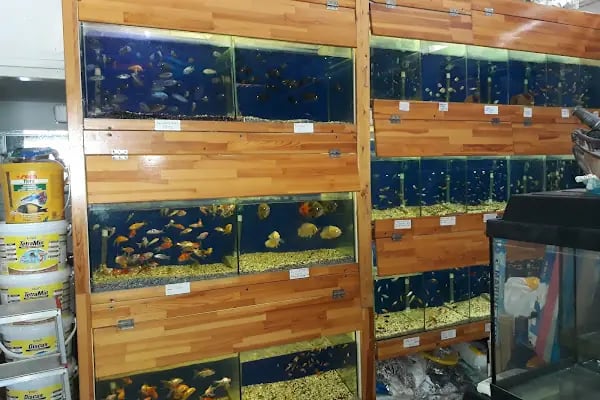 Pınar Pet Shop - Resim 4