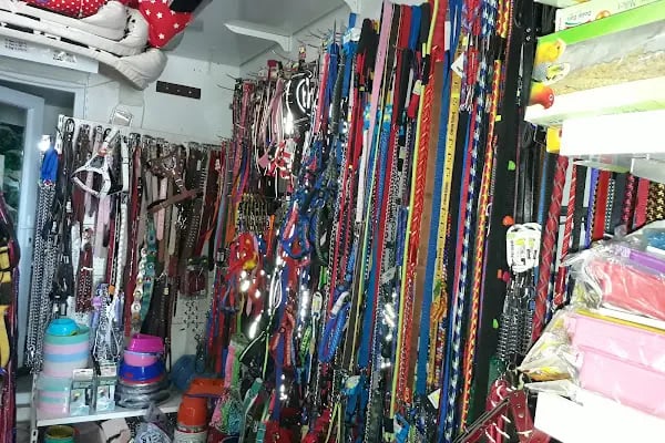 Pınar Pet Shop - Resim 13