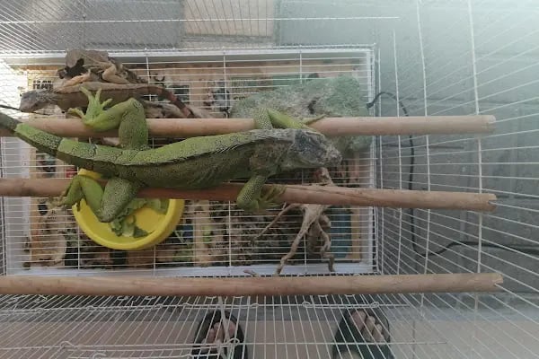 Pınar Pet Shop - Resim 17