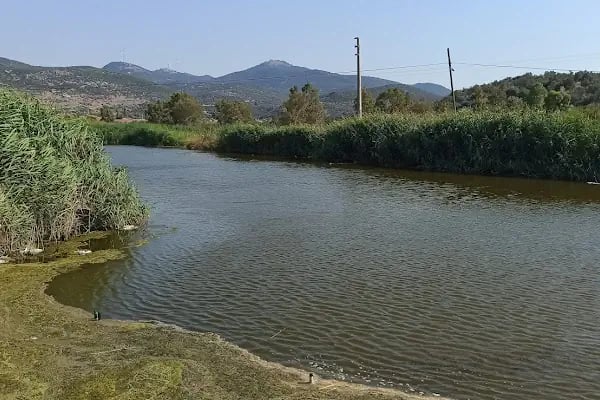 Bademli Halk Plajı - Resim 15