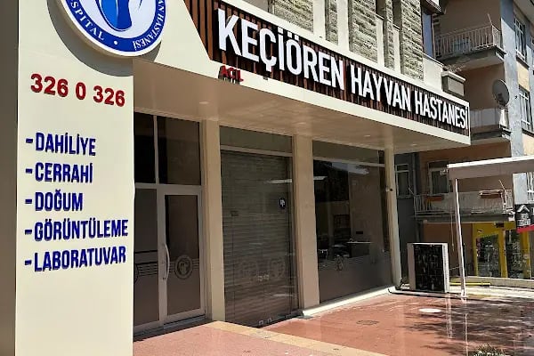 Keçiören Hayvan Hastanesi - Resim 15