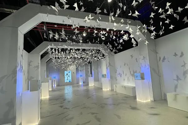 Digizoo Mall of İstanbul - Resim 6