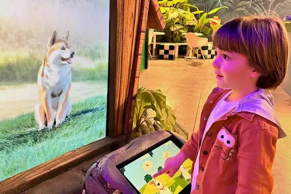 Digizoo Mall of İstanbul - Resim 13