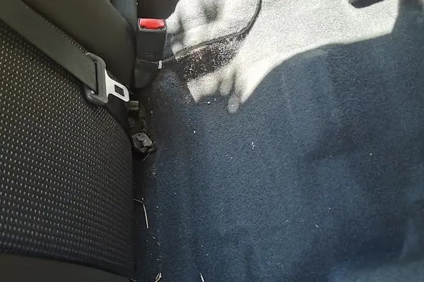 Car Wax - Resim 7