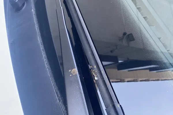Car Wax - Resim 14