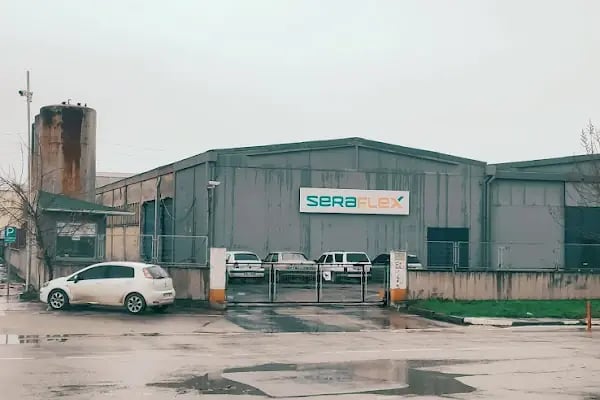 Serra Sünger - Resim 2