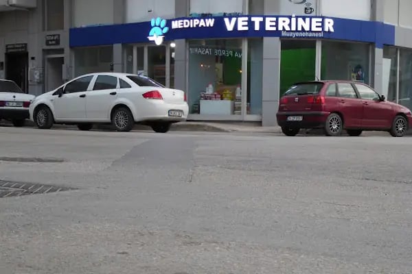 Medipaw Demirtaş Veteriner Kliniği - Resim 14