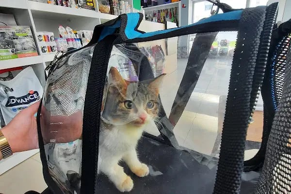 Medipaw Demirtaş Veteriner Kliniği - Resim 2