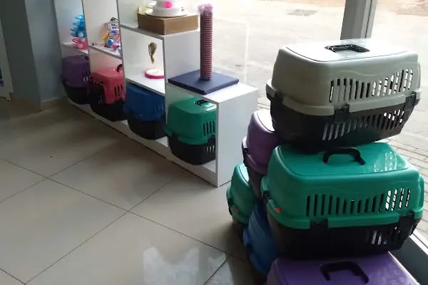 Medipaw Demirtaş Veteriner Kliniği - Resim 16