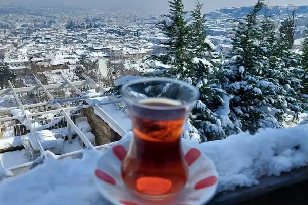 Hünkâr Köşkü Müzesi - Resim 13