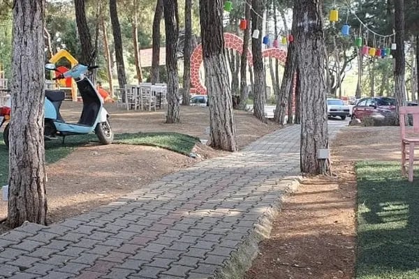 LAVİNYA WEDDİNG EVENT KIR DÜĞÜNÜ - Resim 13