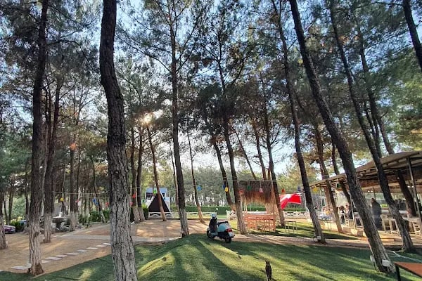LAVİNYA WEDDİNG EVENT KIR DÜĞÜNÜ - Resim 4
