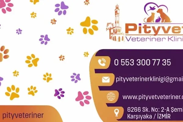 Pityvet Veteriner Kliniği - Resim 20