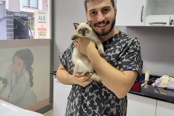 Pityvet Veteriner Kliniği - Resim 13