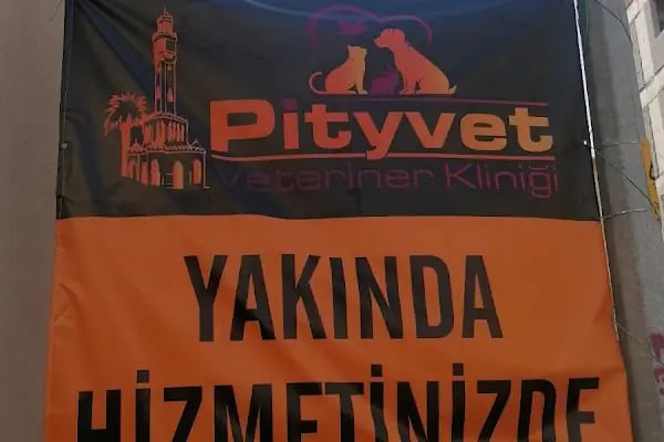 Pityvet Veteriner Kliniği - Resim 11