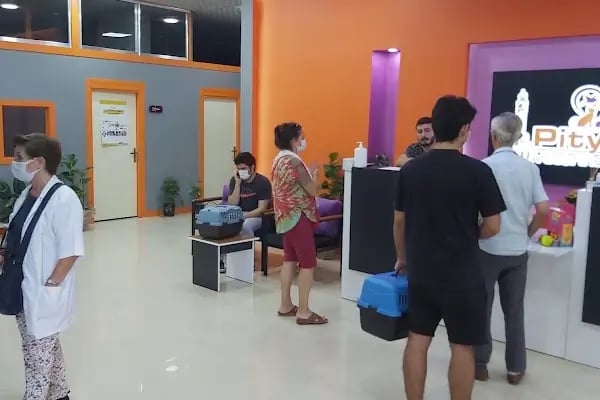Pityvet Veteriner Kliniği - Resim 5