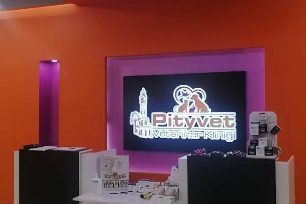 Pityvet Veteriner Kliniği - Resim 6