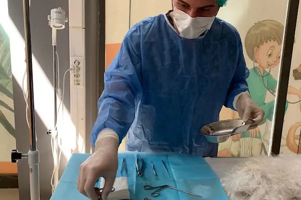 Pityvet Veteriner Kliniği - Resim 3