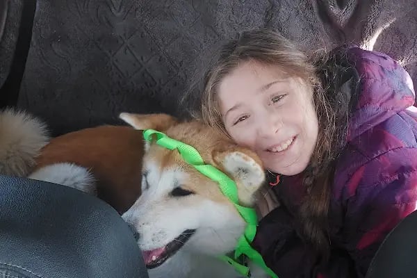 Pityvet Veteriner Kliniği - Resim 16
