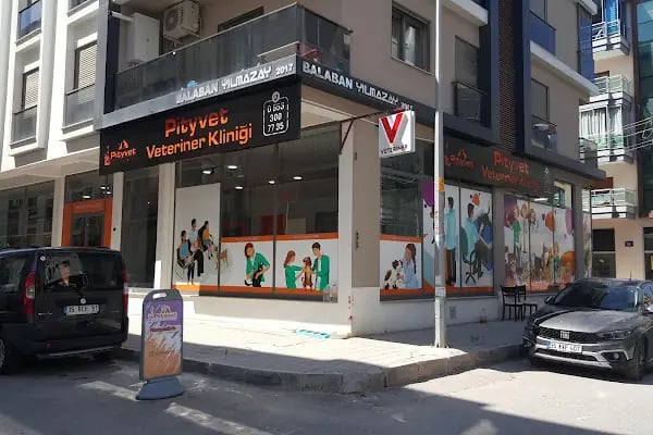 Pityvet Veteriner Kliniği - Resim 4