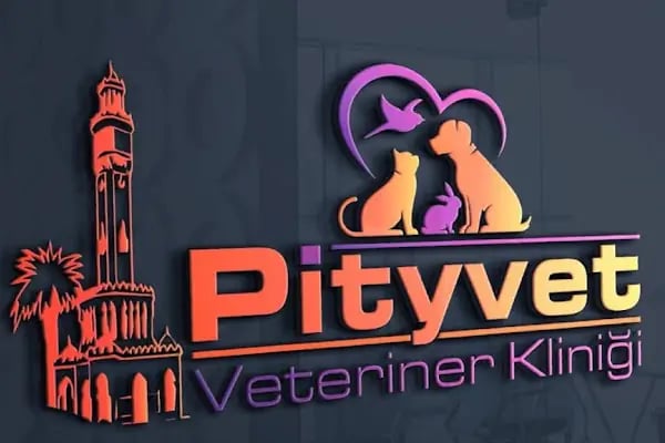 Pityvet Veteriner Kliniği - Resim 12