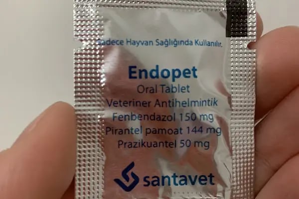 Pityvet Veteriner Kliniği - Resim 10
