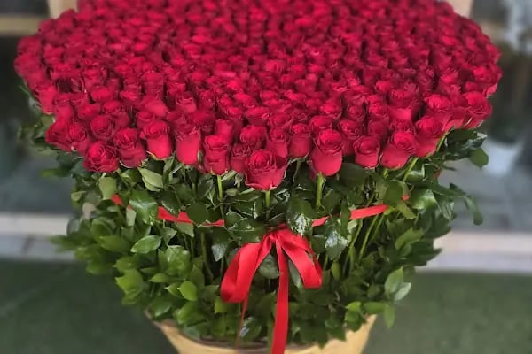 Fenix Flower / Türkbükü Çiçekçi - Resim 10