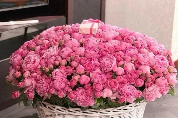 Fenix Flower / Türkbükü Çiçekçi - Resim 9
