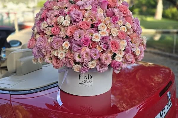Fenix Flower / Türkbükü Çiçekçi - Resim 15
