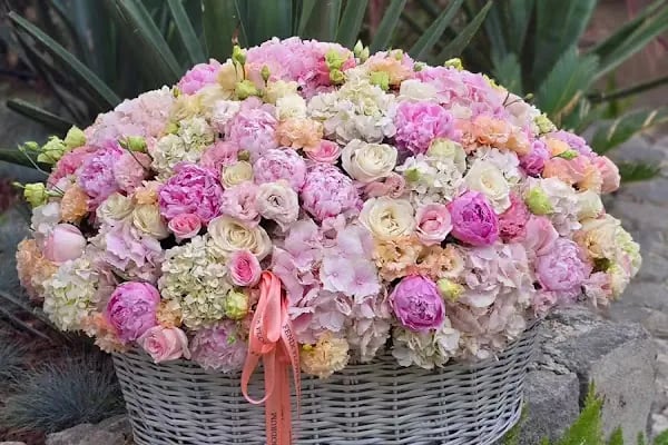 Fenix Flower / Türkbükü Çiçekçi - Resim 1