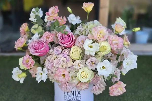 Fenix Flower / Türkbükü Çiçekçi - Resim 5