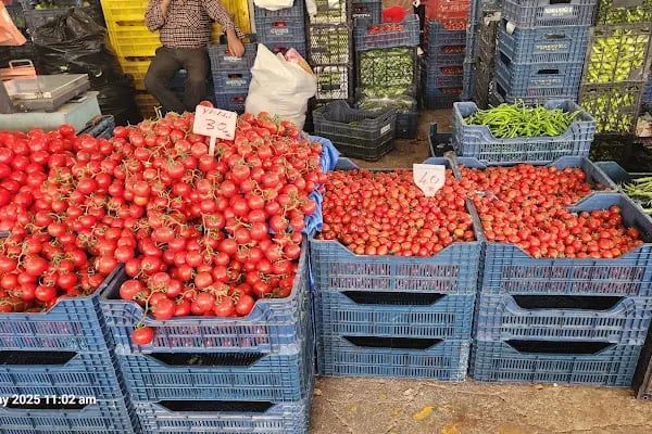 Bodrum Gümbet Meyve Ve Sebze Hali - Resim 4