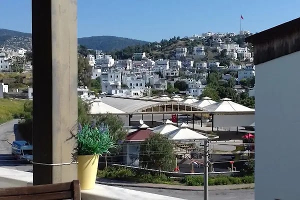 Bodrum Gümbet Meyve Ve Sebze Hali - Resim 9