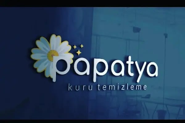 Dryas Kuru temizleme &amp; Lostra &amp; Çamaşırhane - Resim 14