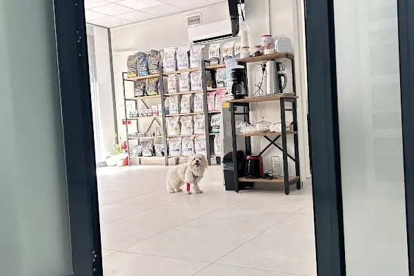 Dalaman Emre Tosun Veteriner Kliniği - Resim 3