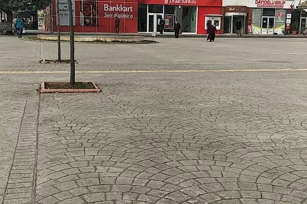 Ziraat Bankası Arifiye/Sakarya Şubesi - Resim 4
