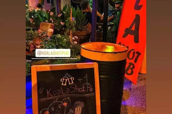 KoalaShotPub - Resim 4