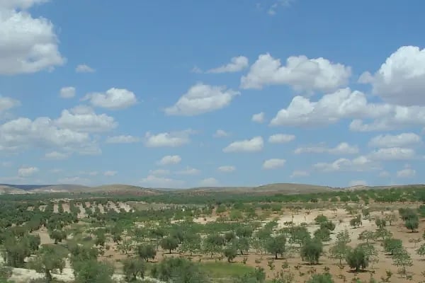 Karkamış Belediyesi - Resim 6