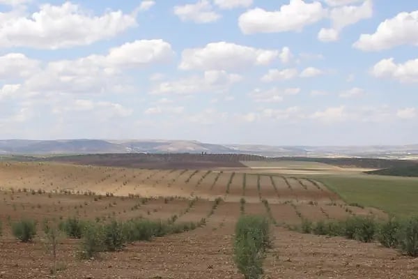 Karkamış Belediyesi - Resim 3