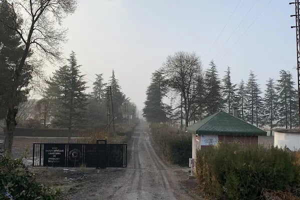 Ayaş Bahçe Vitkileri Araştırma Ve Uygulama İstasyonu - Resim 2