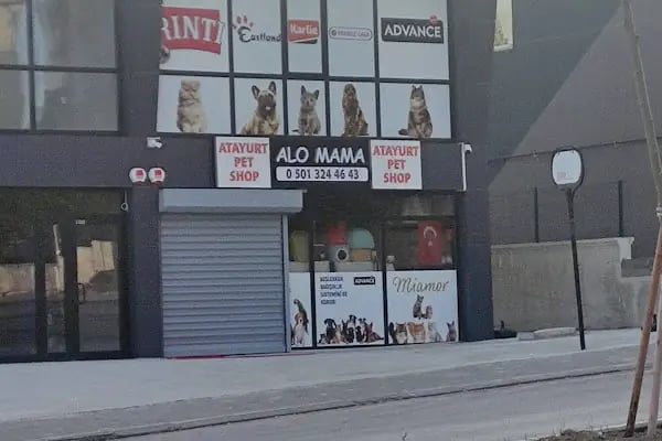 YAPRACIK ATAYURT PET SHOP - Resim 11