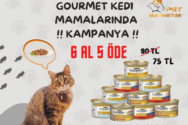 Petmarketim - Resim 16