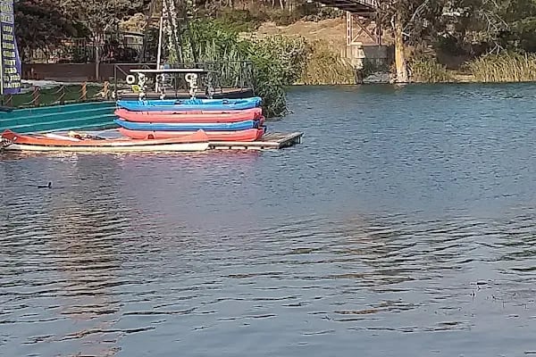 Adana Kano Keyfi - Resim 12