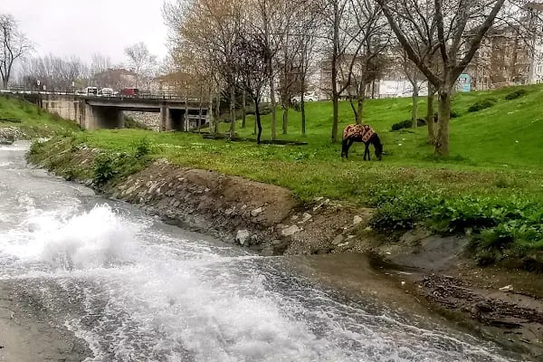 Kamberler Parkı - Resim 19