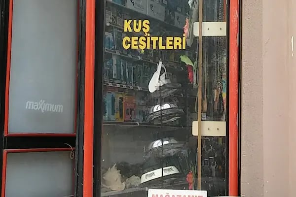 Aksan Akvaryum - Resim 19