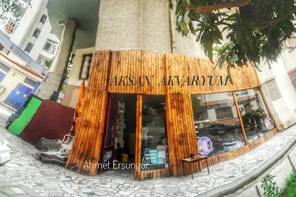 Aksan Akvaryum - Resim 10