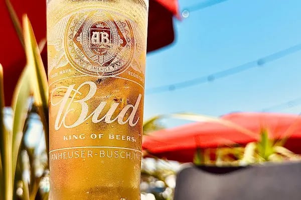 BEERBUS GASTRO PUB - Resim 9