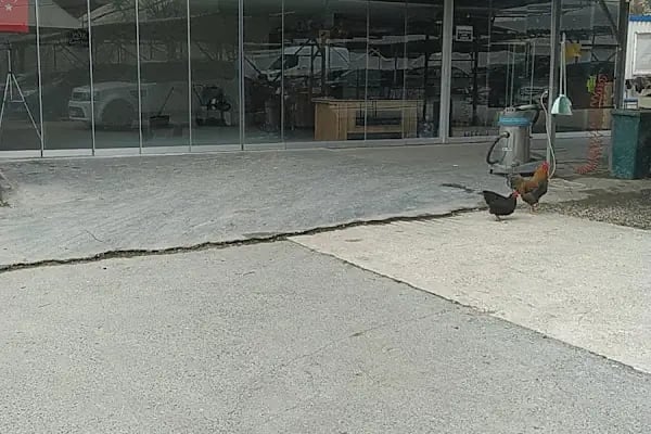 POZ GARAGE PASTA CİLA DETAYLI - Resim 3